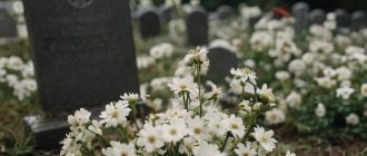 Уборка после смерти: что входит в услугу и почему это важно