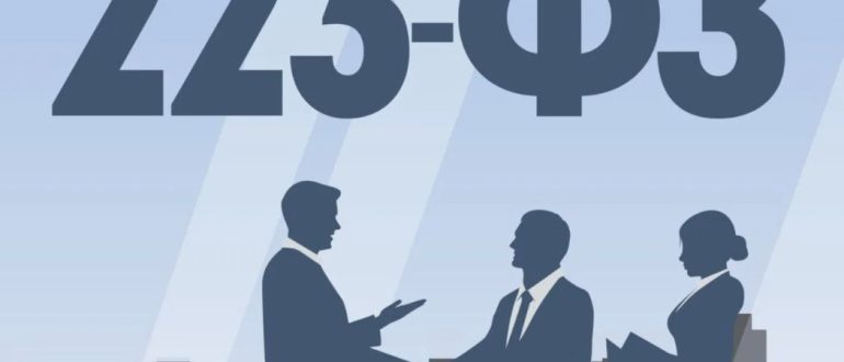Госзакупки по 223-ФЗ: особенности участия для поставщиков и подрядчиков