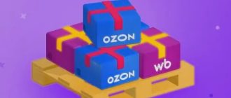 Как организовать регулярные поставки на Wildberries и Ozon из Беларуси: пошаговая инструкция - этапы: забор, документация, паллетирование, сдача на СЦ