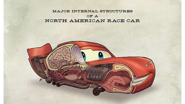 Car; s Anatomy